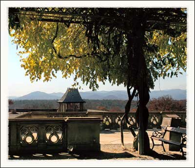 The Biltmore House and Statue