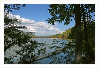 Fall Leaves at Watauga Lake near Boone North Carolina