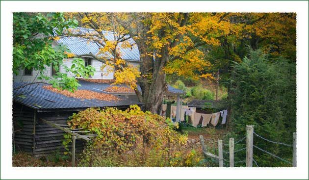 Early Fall Leaf Colors in Boone North Carolina