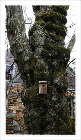 The Crossnore School near Boone North Carolina