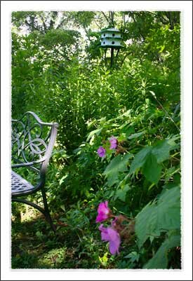 Daniel Boone Native Gardens in Boone North Carolina Mountains