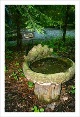 Daniel Boone Native Gardens in Boone North Carolina Mountains