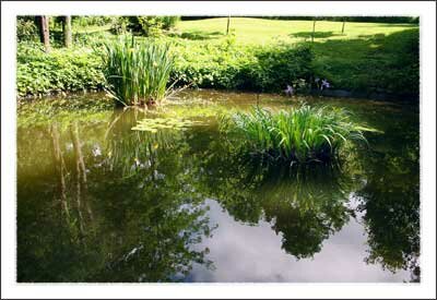 Daniel Boone Native Gardens in Boone North Carolina Mountains