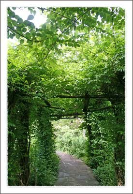 Daniel Boone Native Gardens in Boone North Carolina Mountains