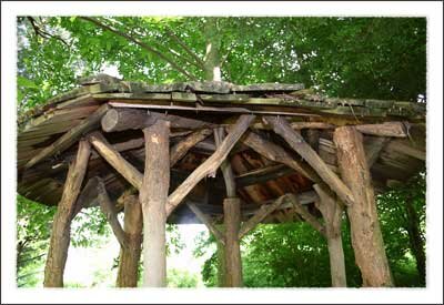 Daniel Boone Native Gardens in Boone North Carolina Mountains