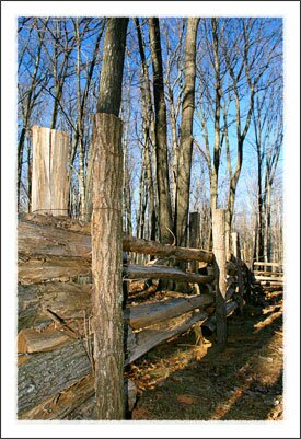 Elk Knob State Park near Boone North Carolina