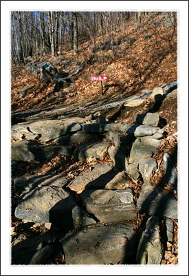 Elk Knob State Park near Boone North Carolina