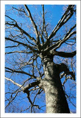 Elk Knob State Park near Boone North Carolina