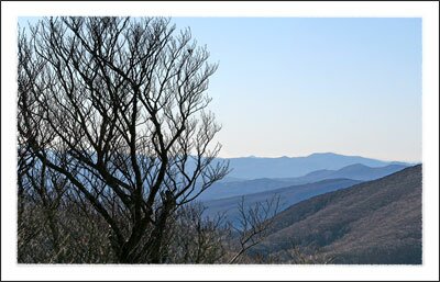 Elk Knob State Park near Boone North Carolina