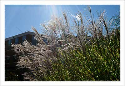 Fall 2009 on the ASU Campus in Boone NC