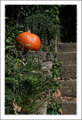 Fall 2009 on the ASU Campus in Boone NC