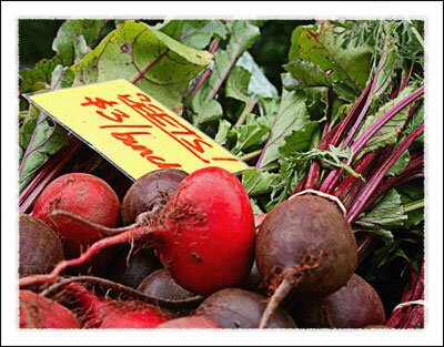 Watauga County Farmers Market in North Carolina