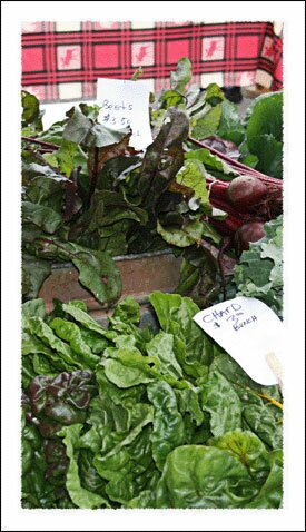 Watauga County Farmers Market in North Carolina