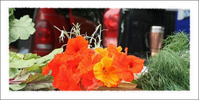 Watauga County Farmers Market in North Carolina