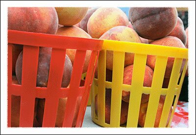 2008 Farmers Market in Boone North Carolina Mountains