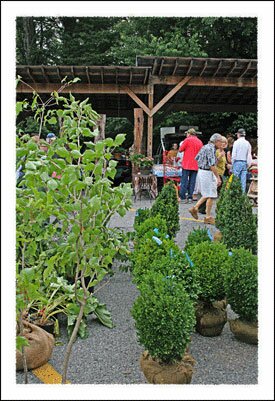 Watauga County Farmers Market in North Carolina