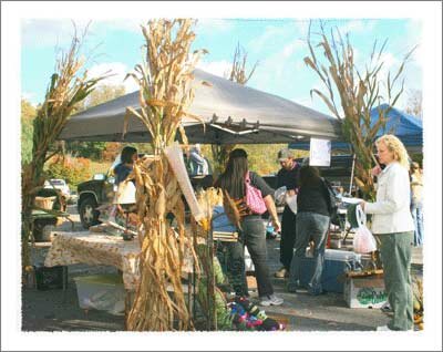 Watauga County Farmers Market in the Boone North Carolina Mountains