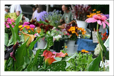 Watauga County Farmers Market in North Carolina