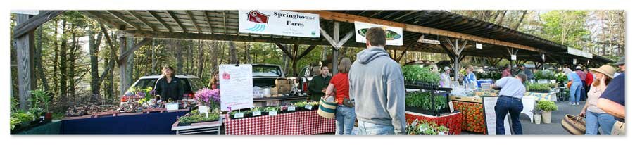 Watauga County Farmers Market 2010