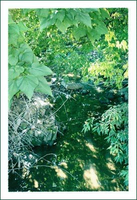 Kraut Creek or Boone Creek which runs through downtown Boone North Carolina