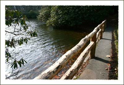 Price Lake in the Julian Price Memorial Park on the Blue Ridge Parkway near Boone North Carolina