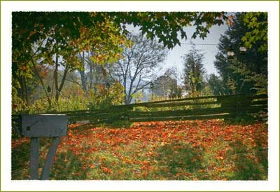 Fall Leaf Color in Boone North Carolina High Coutry