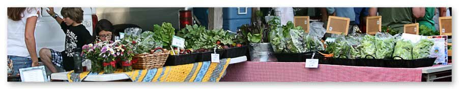 Springhouse Farm at the Watauga County Farmers Market