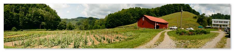 Springhouse Farm in Vilas near Boone North Carolina