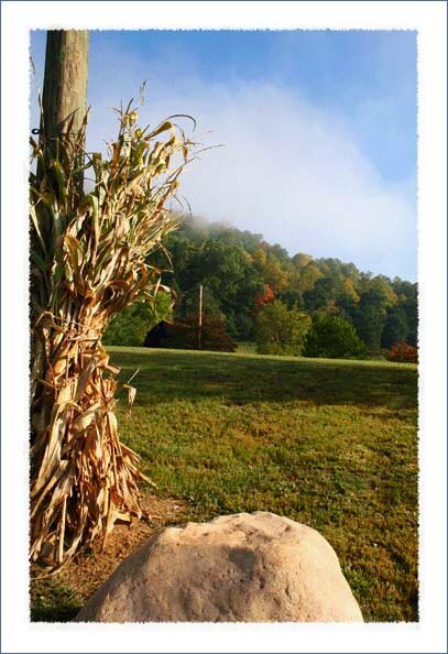 Fall Leaves in Boone North Carolina