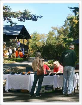 Apple Festival in Boone NC